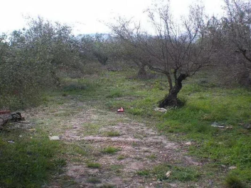 Land for sale in Cocentaina, Alicante photo 3