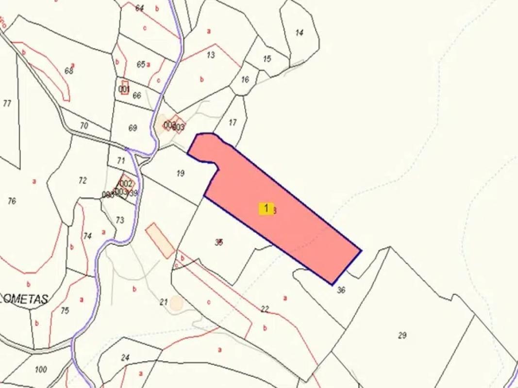 Land for sale in Monovar, Alicante photo 2