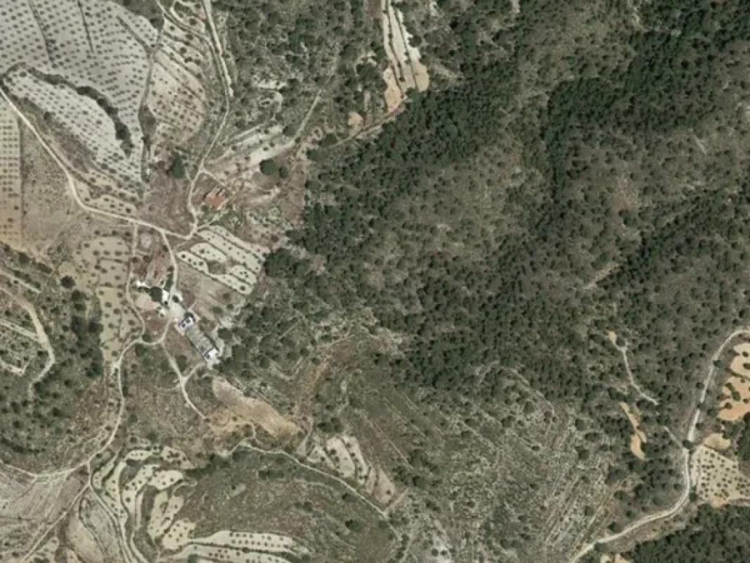 Land for sale in Monovar, Alicante photo 3