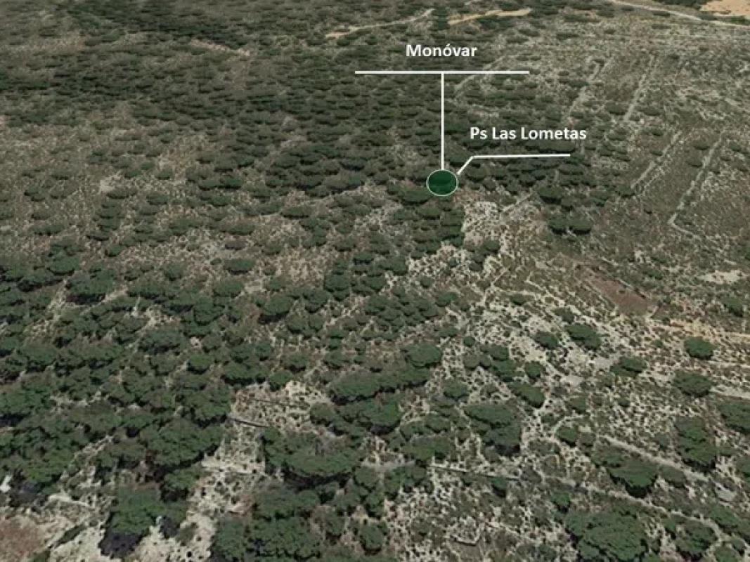 Land for sale in Monovar, Alicante photo 4
