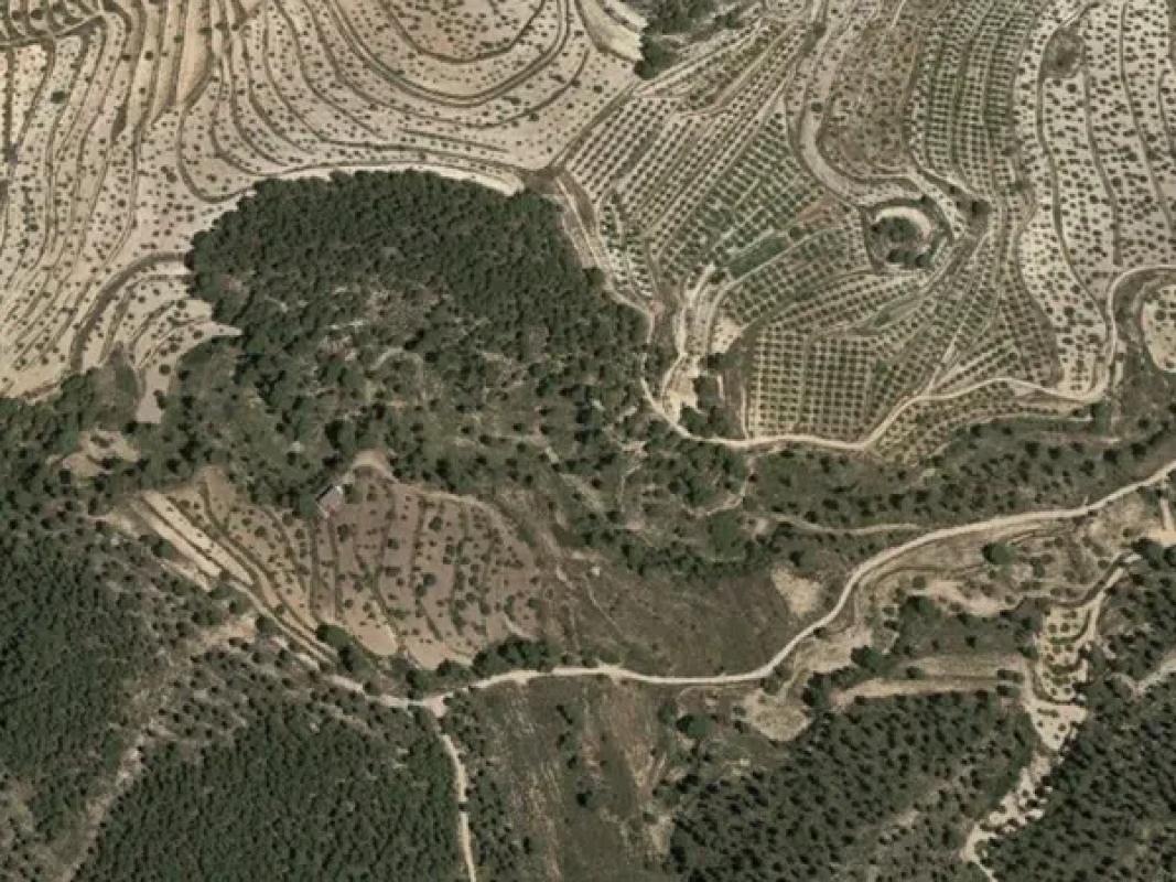 Land for sale in Relleu, Alicante photo 3