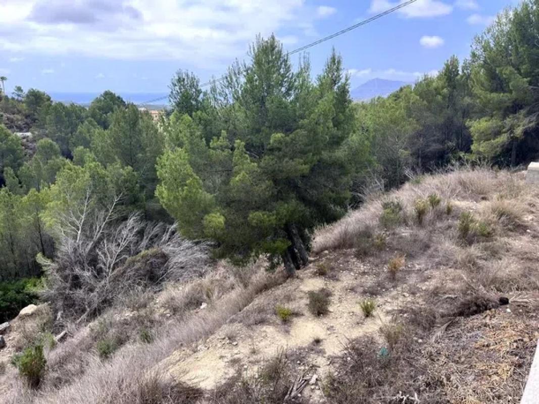 Działka na sprzedaż w Altea, Alicante photo 3