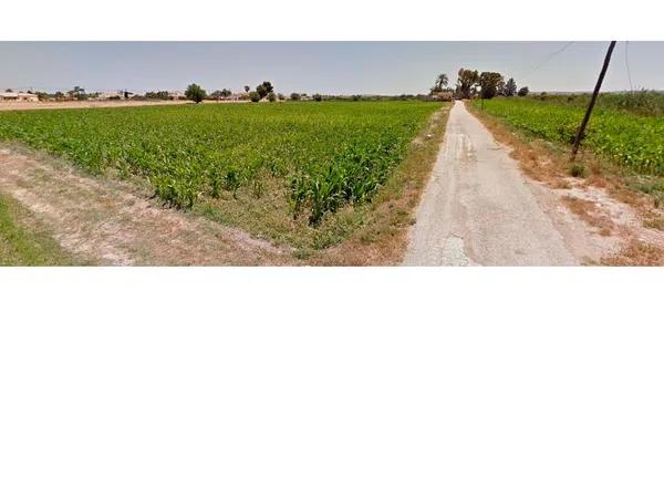 Terreno en camino lo Perpen, 3 photo 4