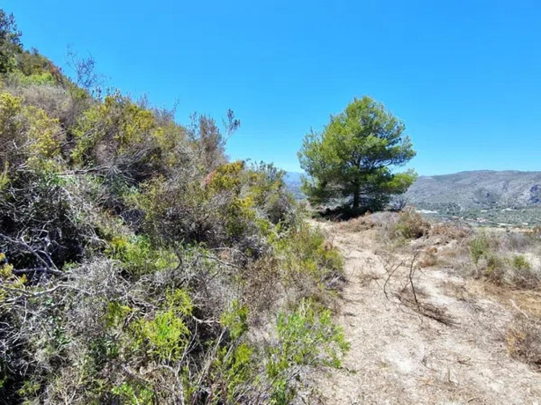 Terreno en venta en Teulada, Alicante photo 5