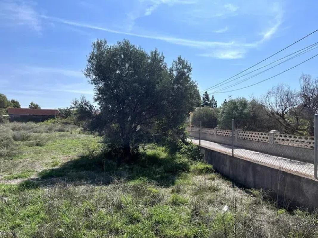 Terreno en venta en Mutxamel, Alicante photo 1