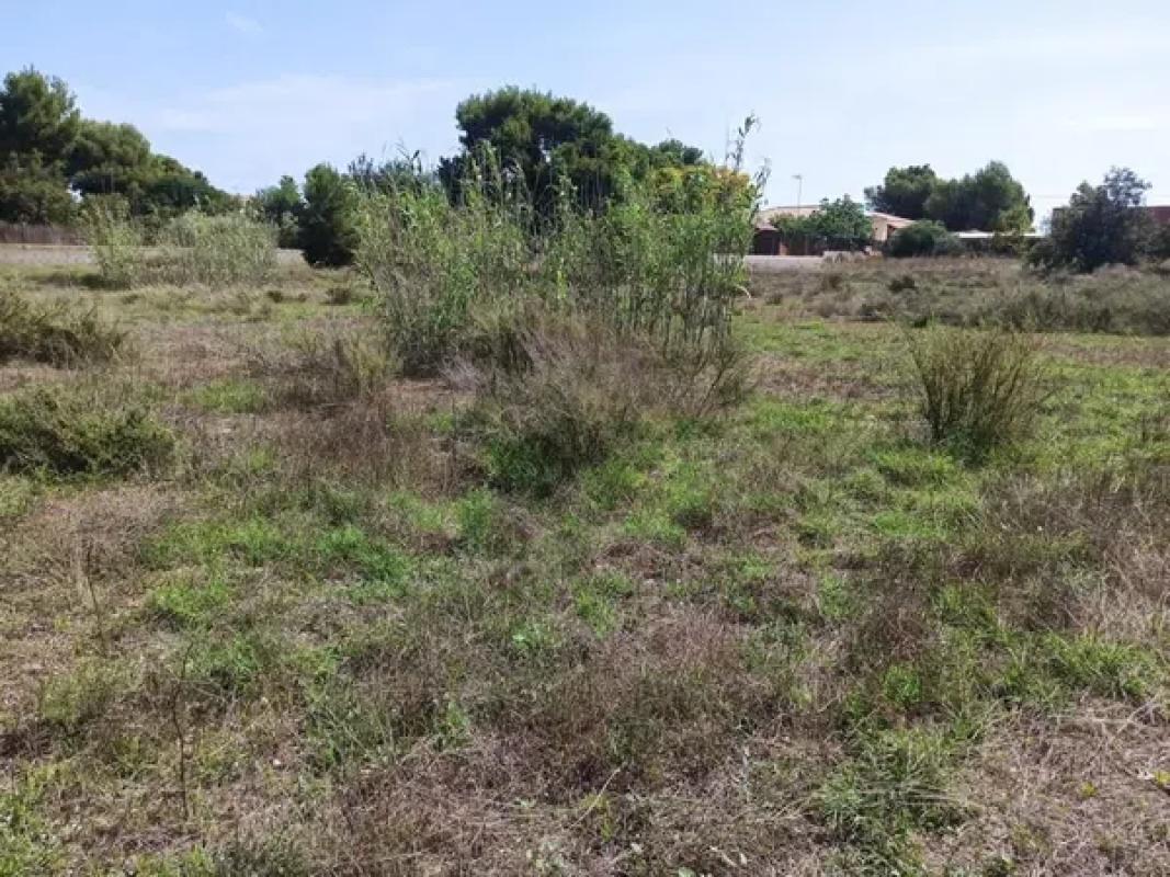 Terreno en venta en Mutxamel, Alicante photo 2