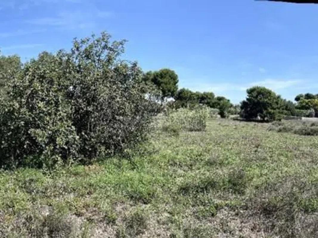 Terreno en venta en Mutxamel, Alicante photo 4