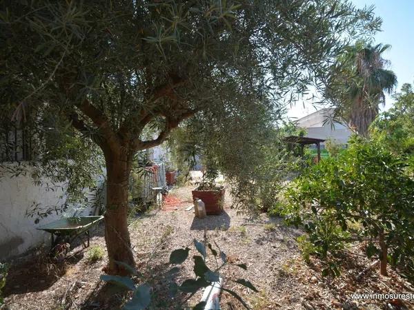 Terreno en Orihuela Ciudad photo 2