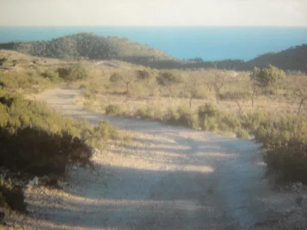 Terreno en Relleu photo 1