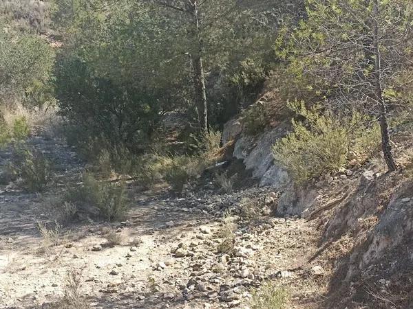 Terreno en Tibi photo 3