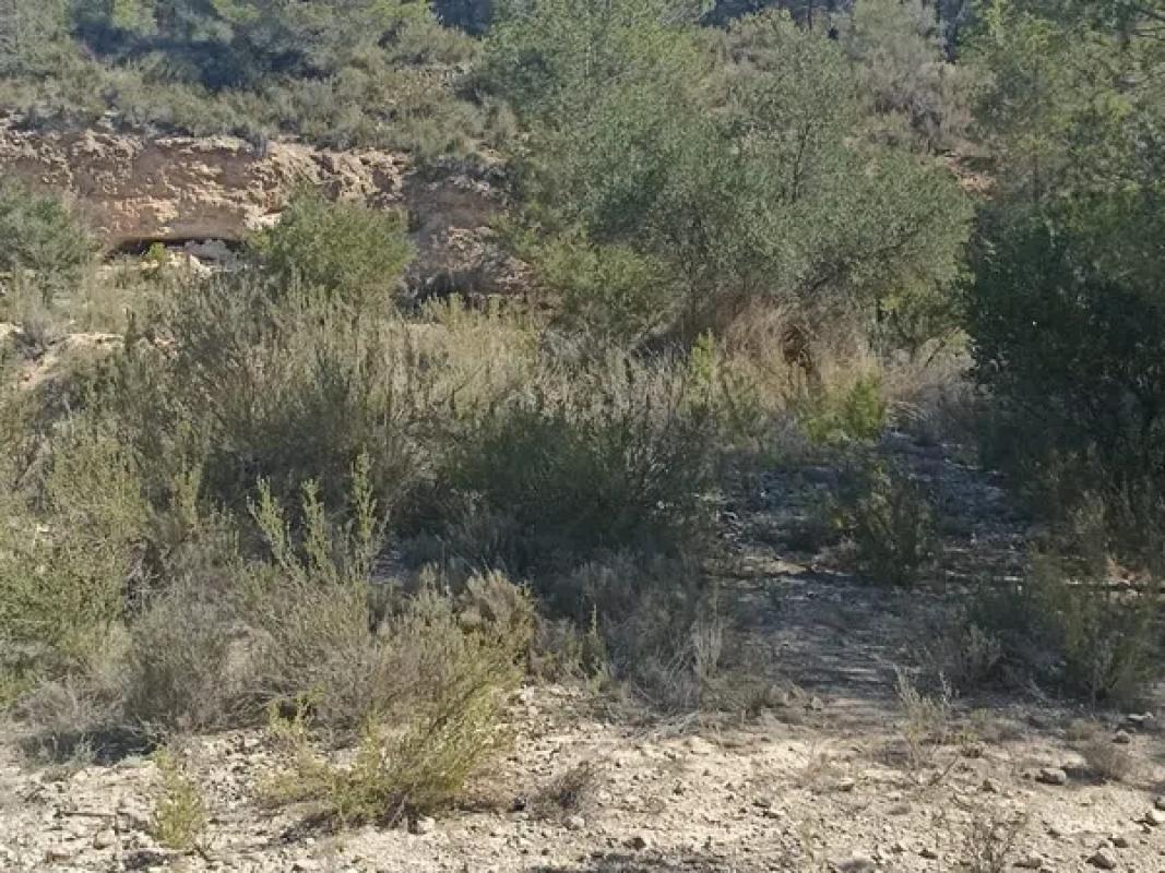 Terreno en venta en Tibi, Alicante photo 4