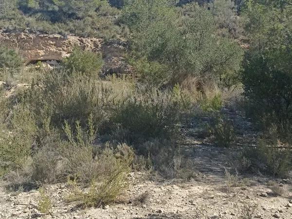 Terreno en Tibi photo 4