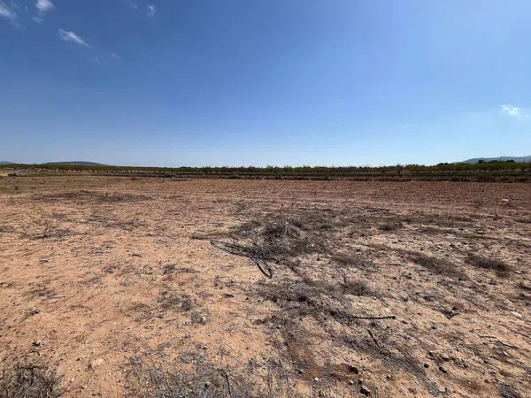 Terreno en venta en Pinoso, Alicante photo 2