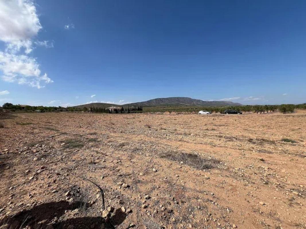 Terreno en venta en Pinoso, Alicante photo 3