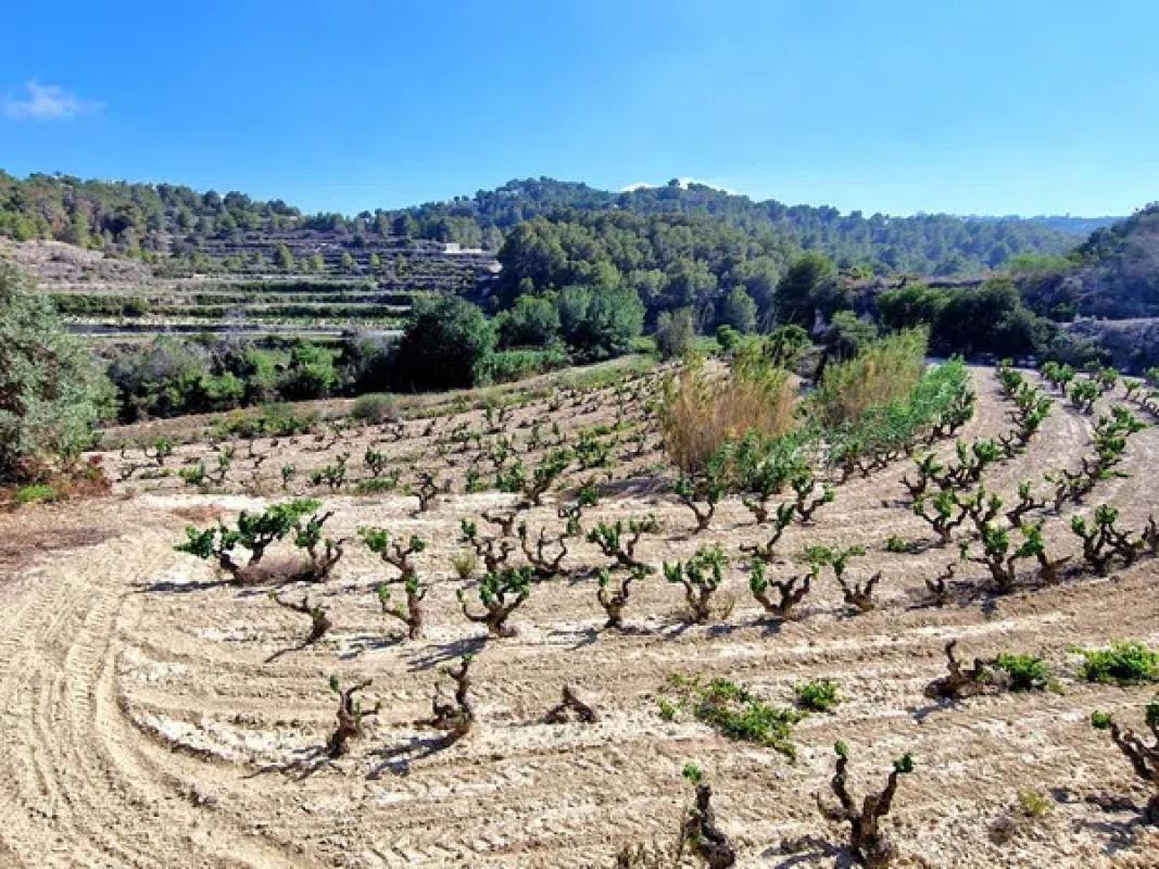 Terreno en venta en Teulada, Alicante photo 1