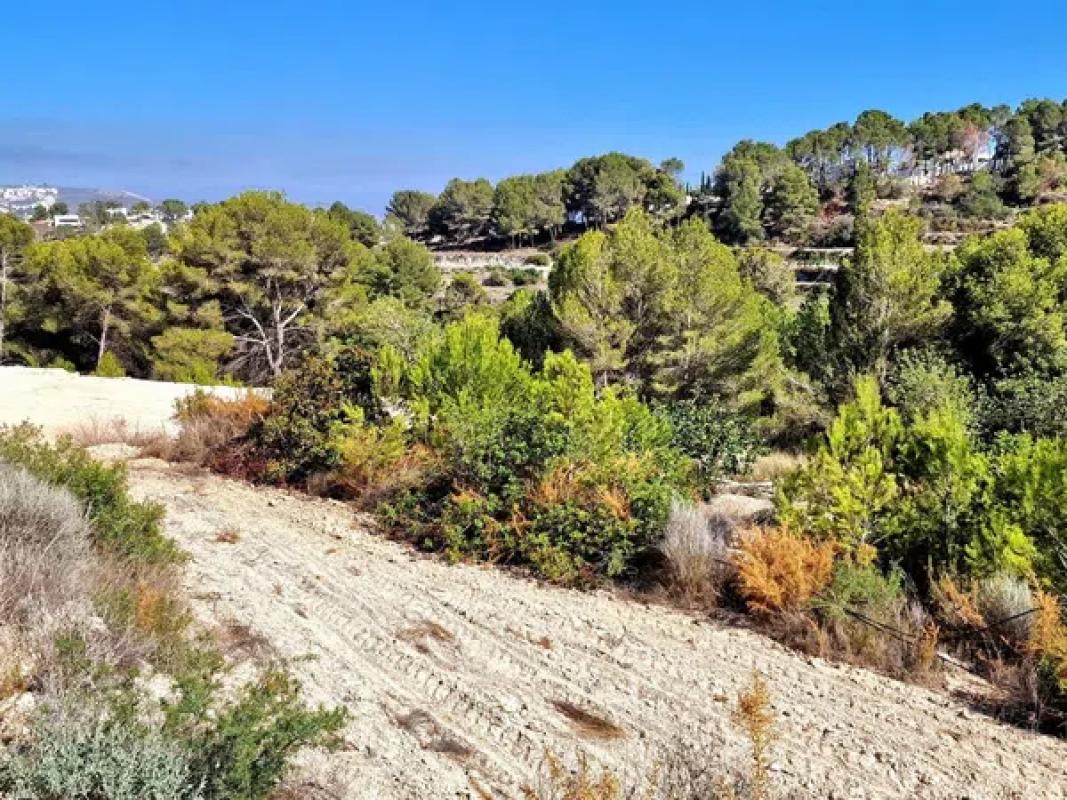 Terreno en venta en Teulada, Alicante photo 3