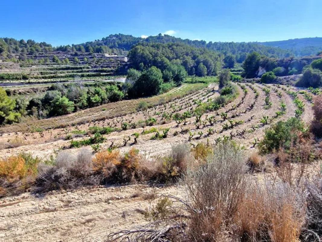 Terreno en venta en Teulada, Alicante photo 5