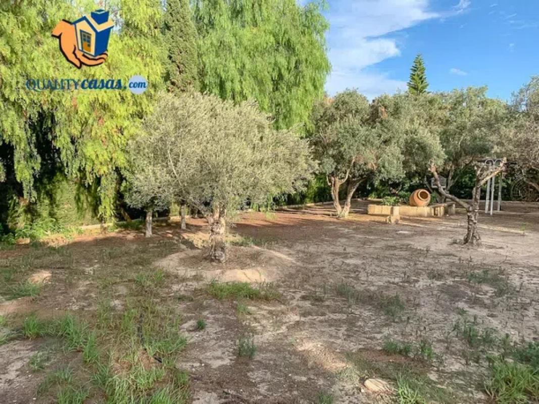Land for sale in Alicante, Alicante photo 2