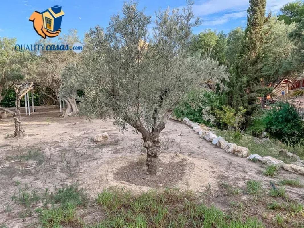 Land for sale in Alicante, Alicante photo 3