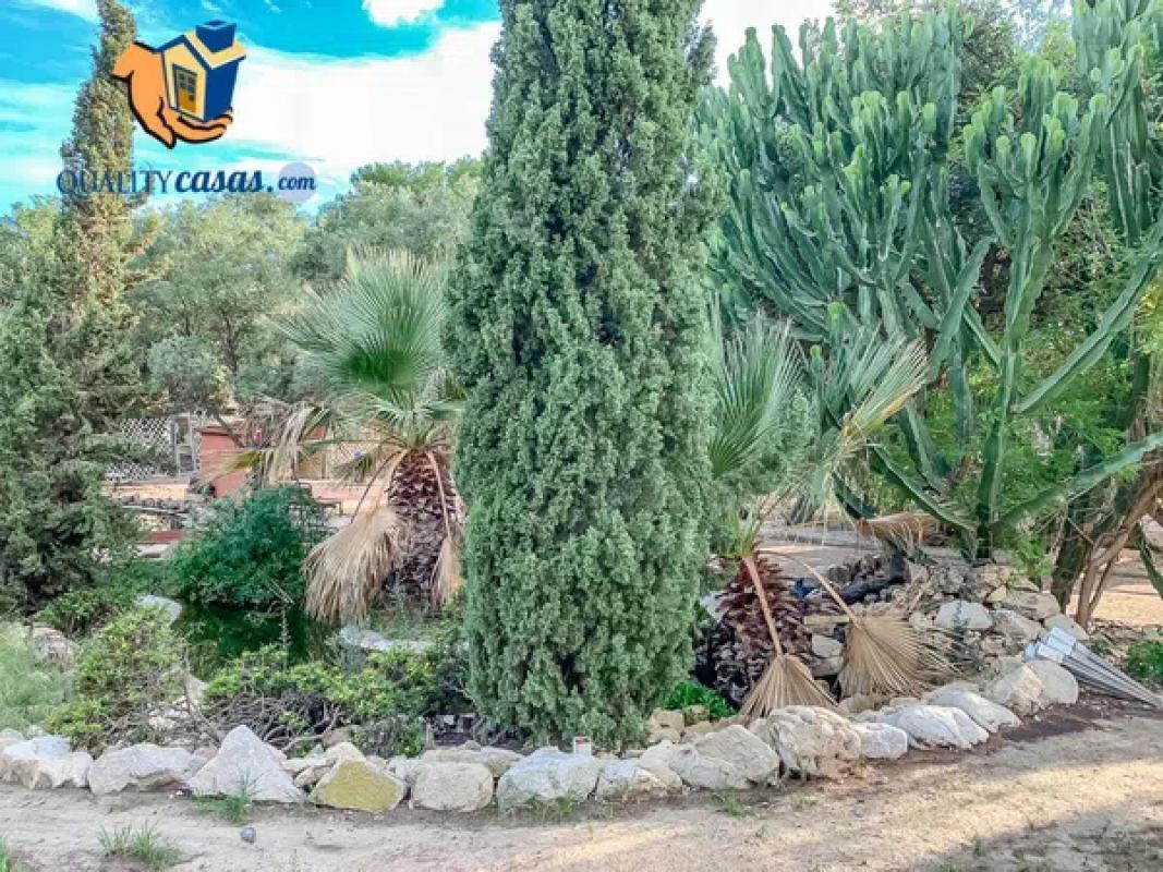 Land for sale in Alicante, Alicante photo 5