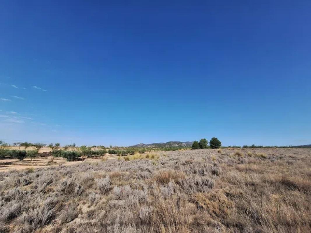 Terreno en venta en Pinoso, Alicante photo 2