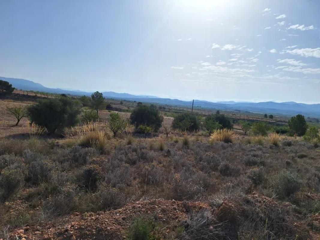 Terreno en venta en Pinoso, Alicante photo 5