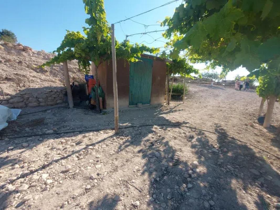 Land for sale in Monforte del Cid, Alicante photo 1