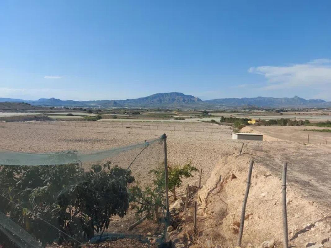 Land for sale in Monforte del Cid, Alicante photo 3