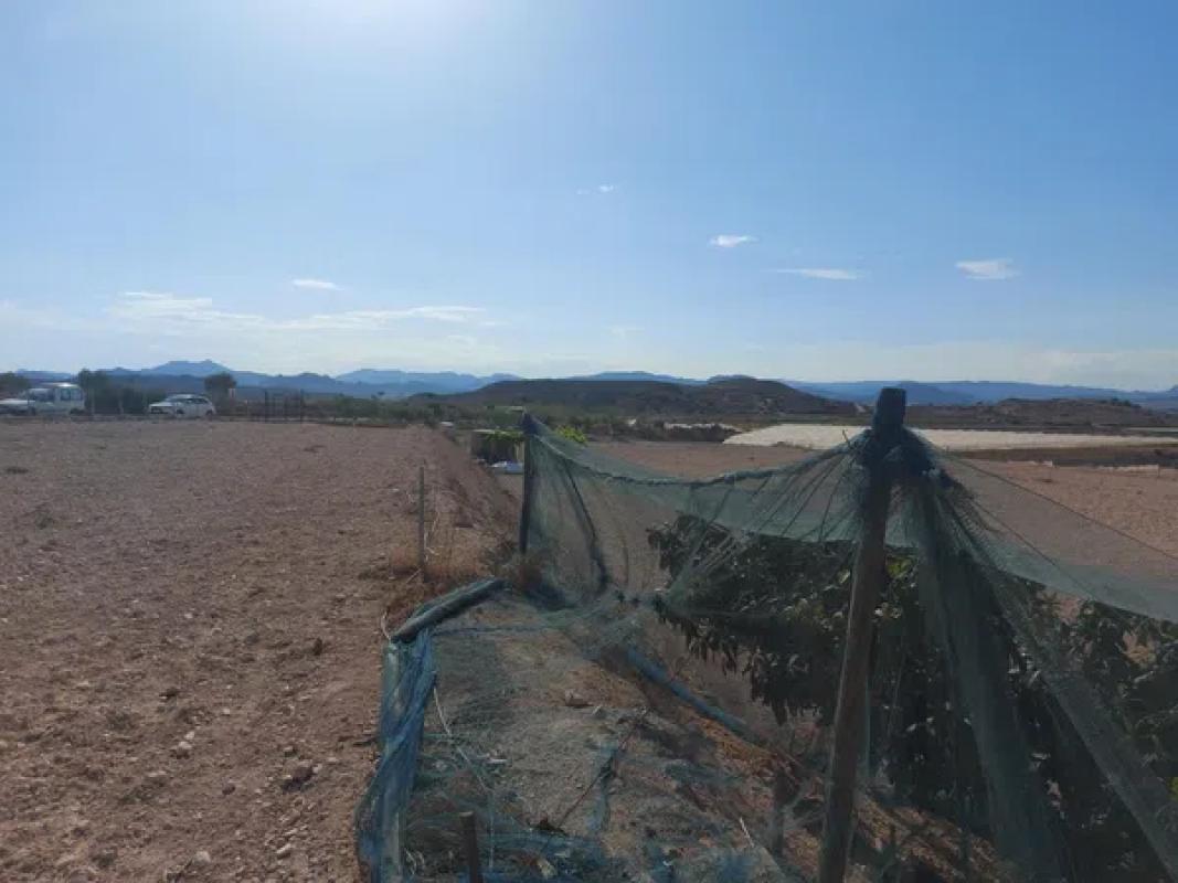 Land for sale in Monforte del Cid, Alicante photo 4