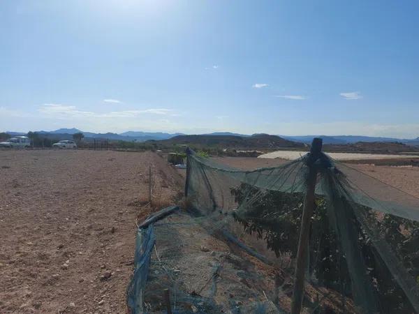 Terreno en Monforte del Cid photo 4