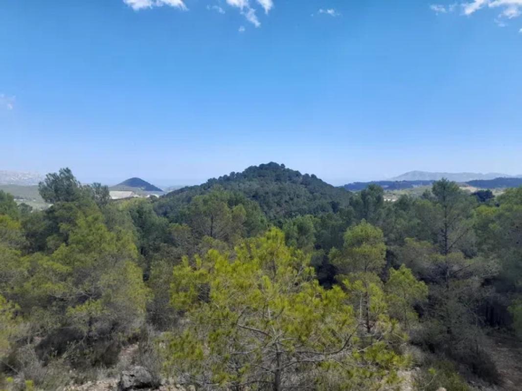 Terreno en venta en Polop, Alicante photo 1