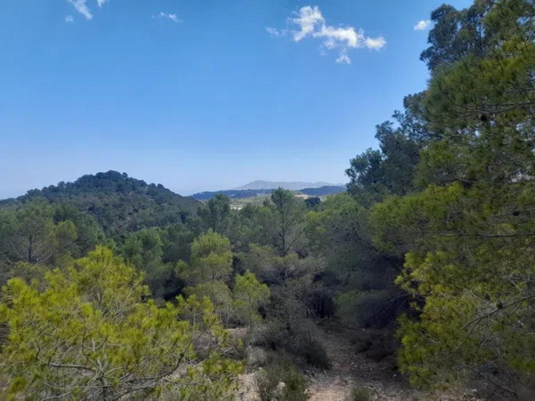 Terreno en venta en Polop, Alicante photo 2