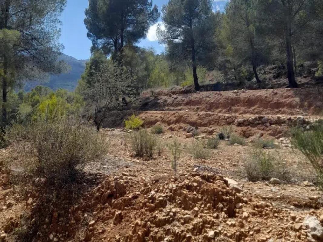 Terreno en venta en Polop, Alicante photo 3