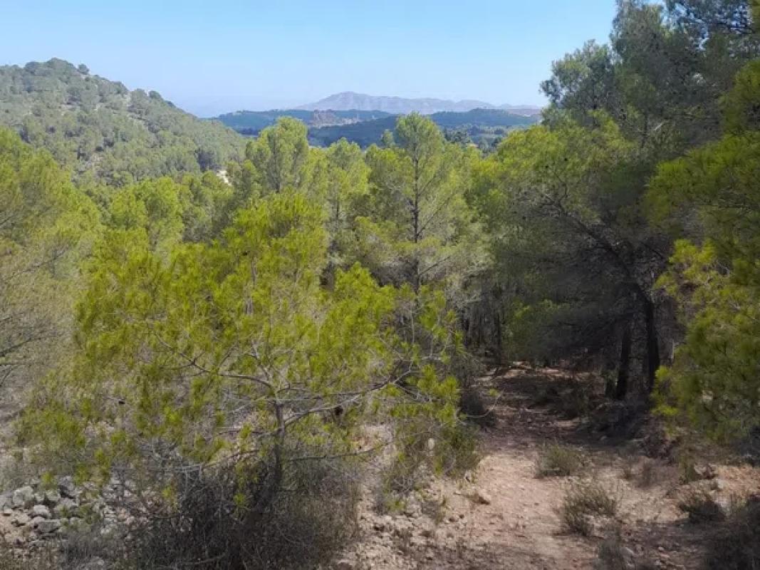 Terreno en venta en Polop, Alicante photo 4