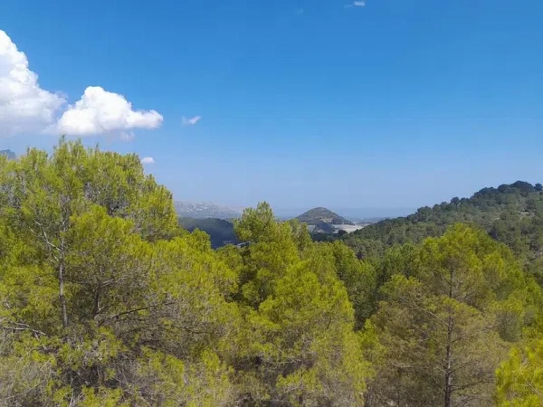 Terreno en venta en Polop, Alicante photo 5