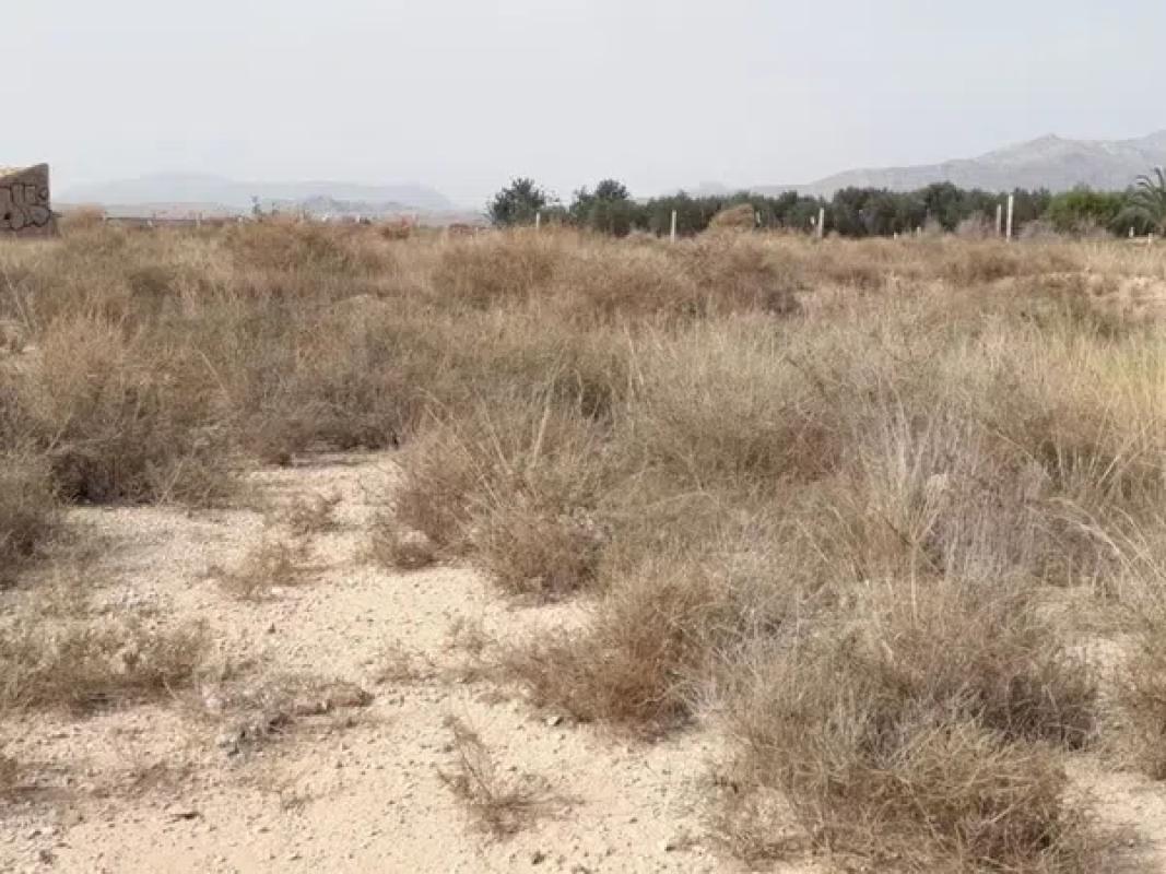 Land for sale in Moralet, Alicante photo 1