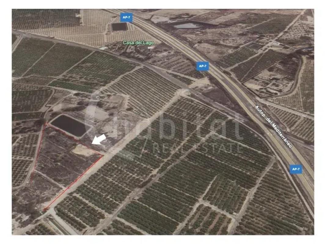 Land for sale in Los Montesinos, Alicante photo 2
