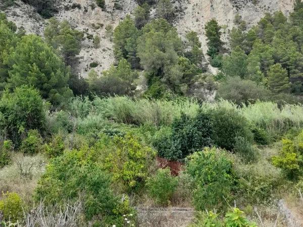 Terreno en Guadalest photo 1