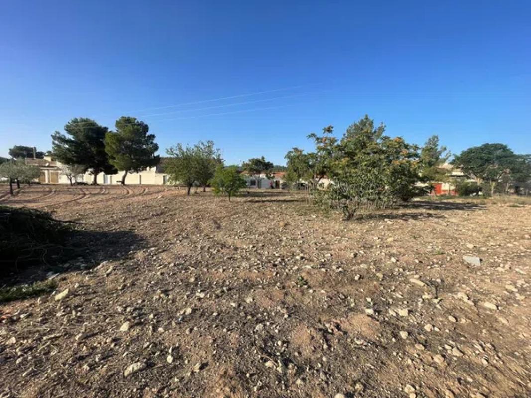 Terreno en venta en Pinoso, Alicante photo 1