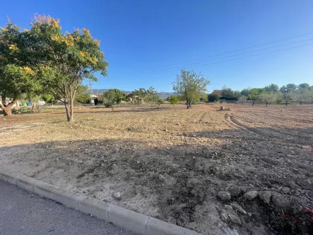 Terreno en venta en Pinoso, Alicante photo 2