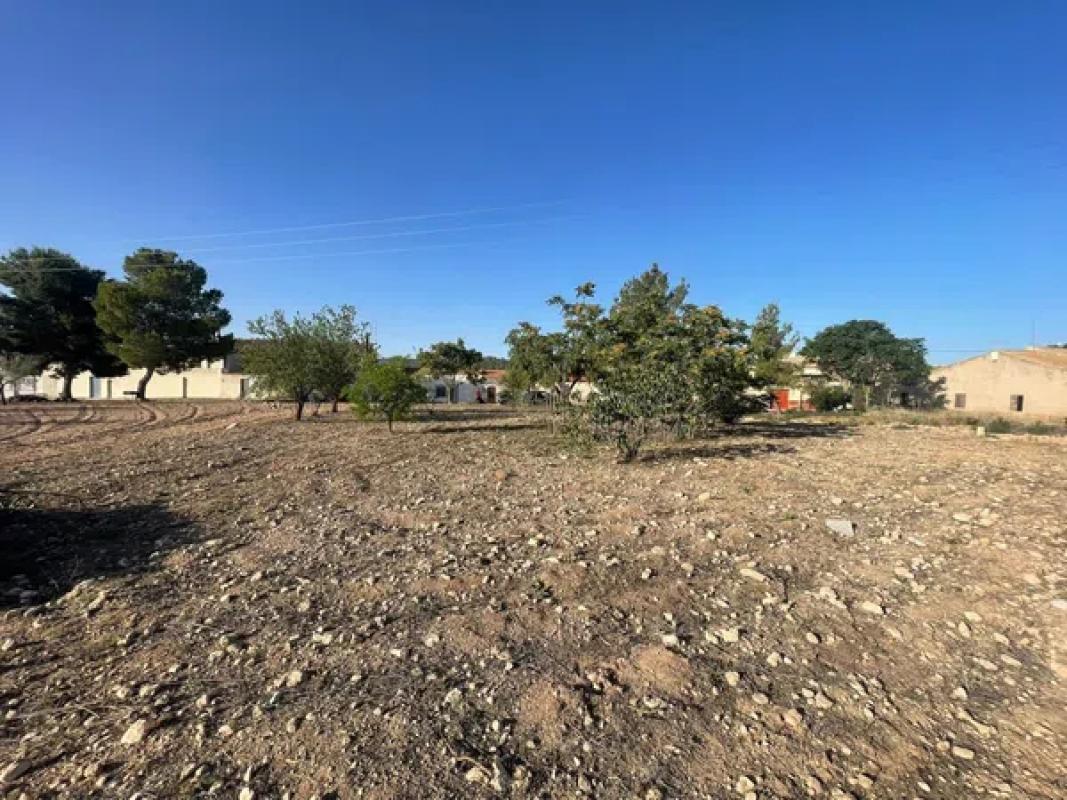 Terreno en venta en Pinoso, Alicante photo 3