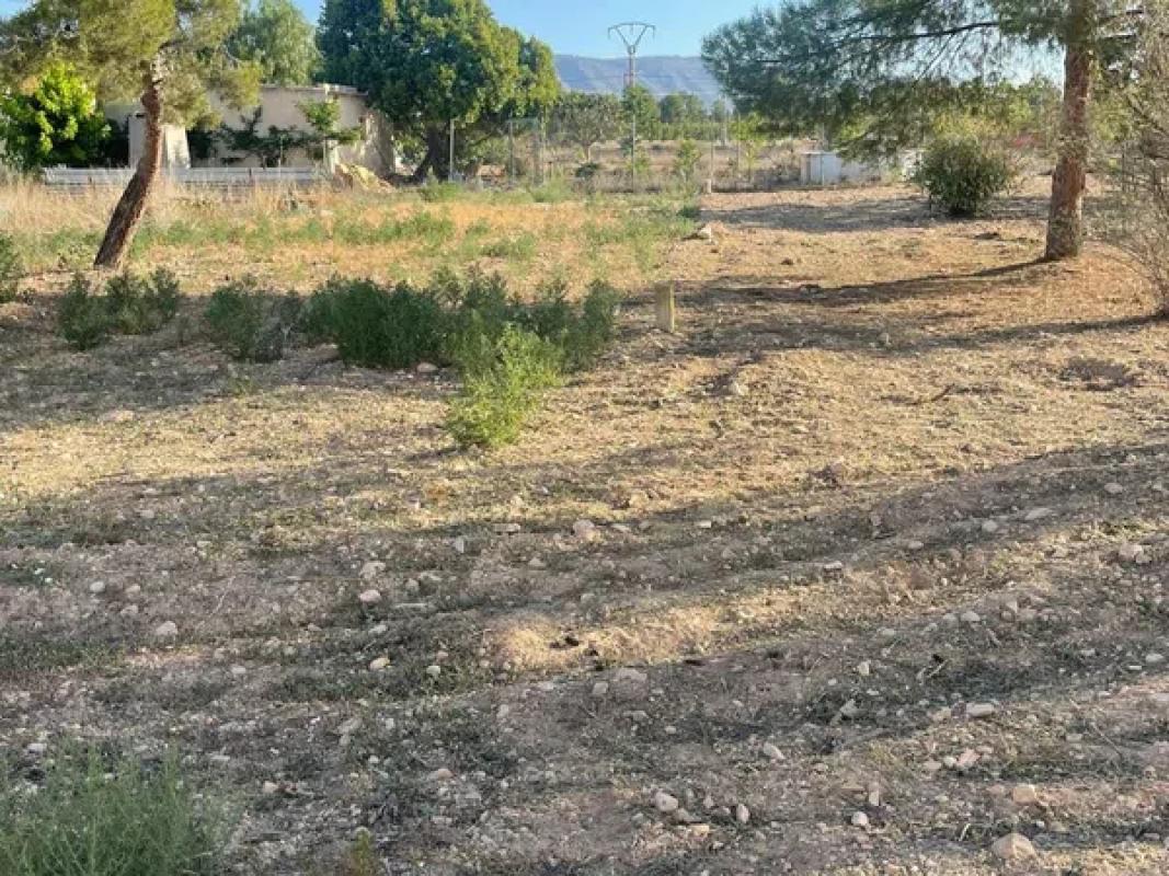 Terreno en venta en Pinoso, Alicante photo 5