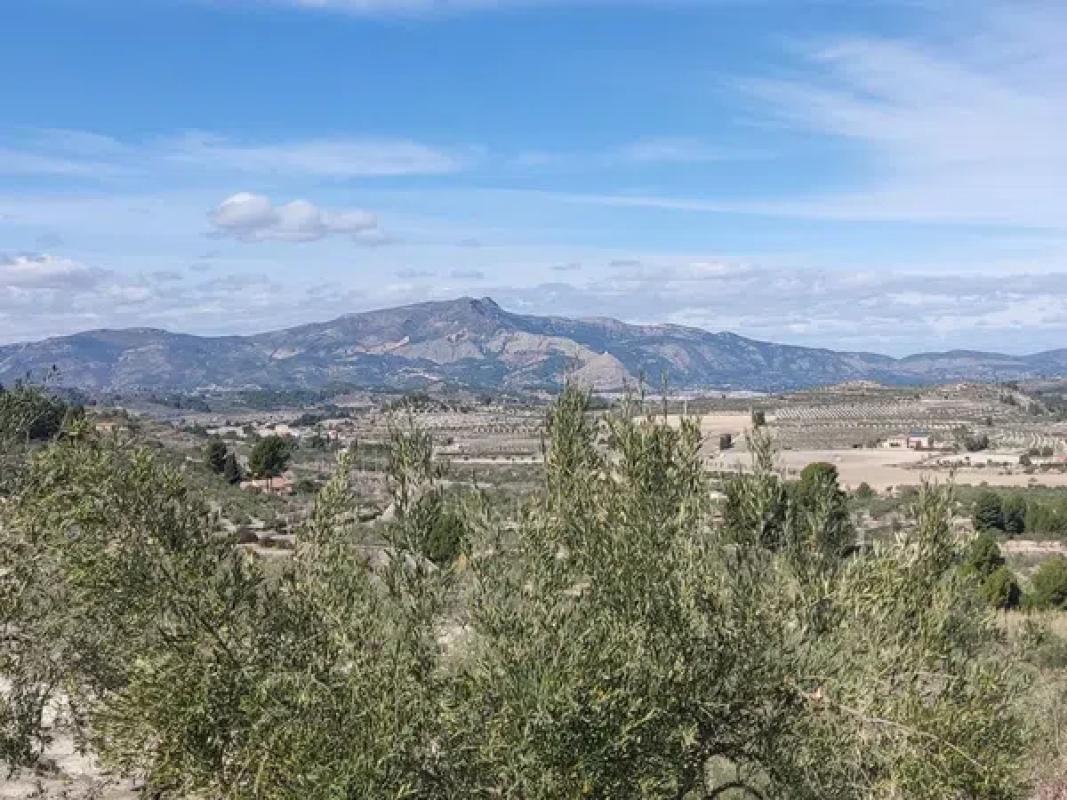 Terreno en venta en Penaguila, Alicante photo 3