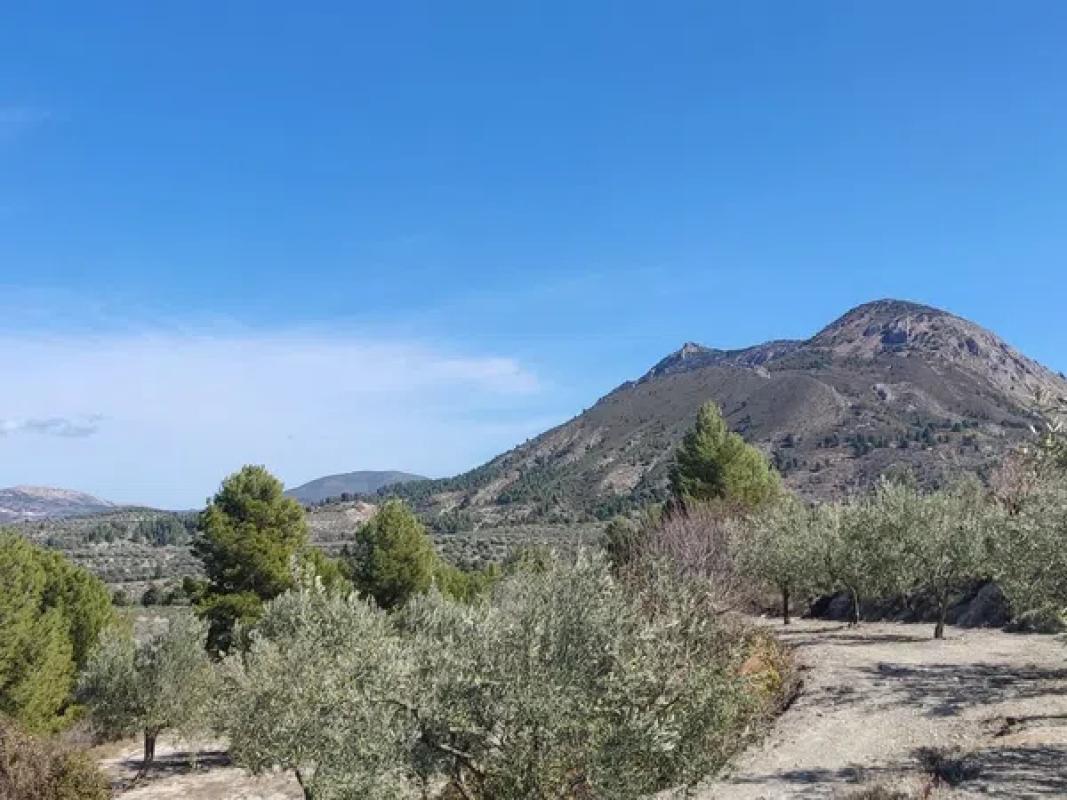 Terreno en venta en Penaguila, Alicante photo 4