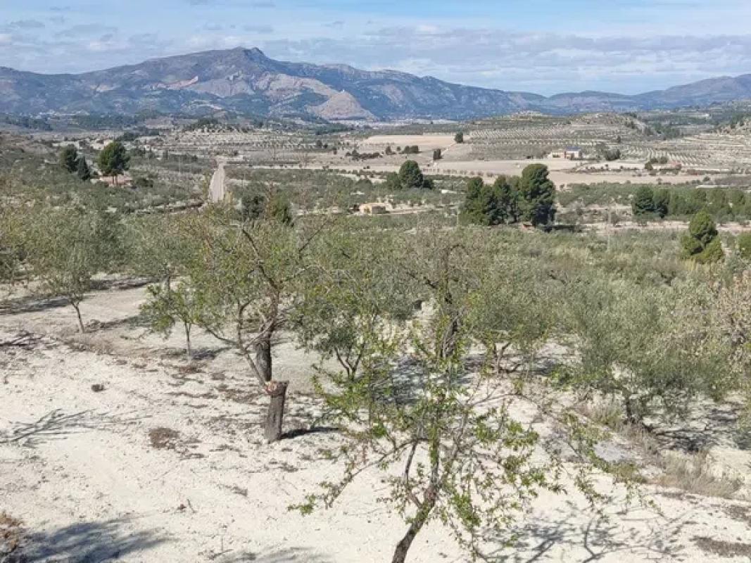 Terreno en venta en Penaguila, Alicante photo 5