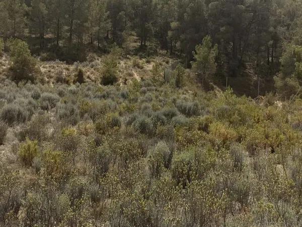 Terreno en parcela 87 poligono 12 s/n photo 3