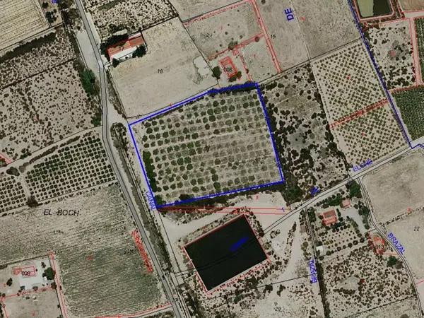 Terreno en Crevillente photo 1