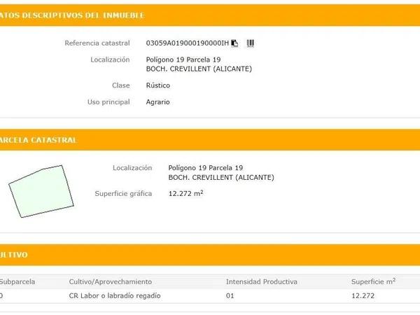 Terreno en Crevillente photo 2