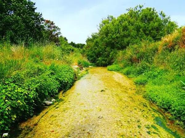 Terreno en calle Mar Tirreno, 6 photo 2