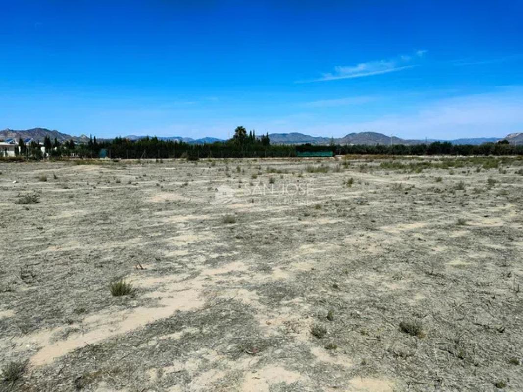 Terreno en venta en Aspe, Alicante photo 3